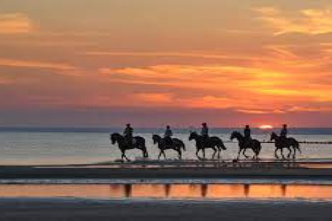 3-Hour Swim with Horses and Romantic Dinner from Hurghada hotels - Who will enjoy this ride most