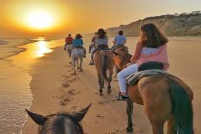 3-Hour Swim with Horses and Romantic Dinner from Hurghada hotels - Riding across Hurghada’s desert sands