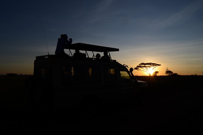 4 days Authentic honeymoon safari Serengeti and ngongoro crater - What the strongest praise tells you