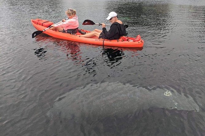 4 Hour Tandem Kayak Rental For Two People In Crystal River, Florida - What four hours on Crystal River really gives you