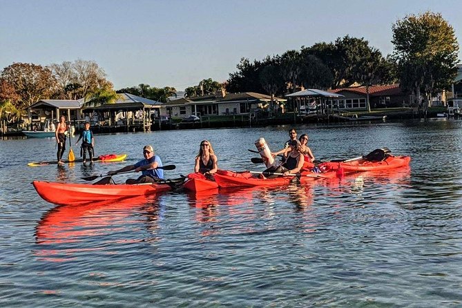 4 Hour Tandem Kayak Rental For Two People In Crystal River, Florida - Wildlife: manatees are possible, but timing matters