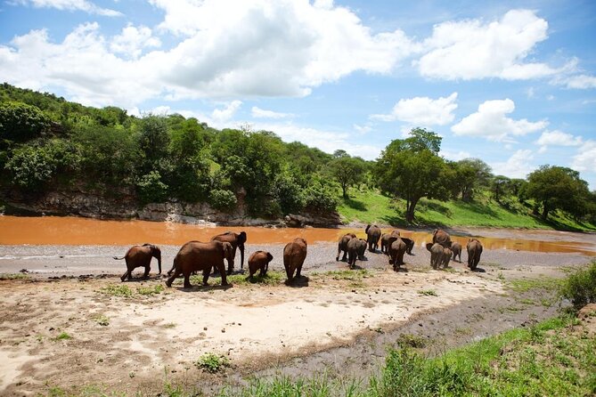 6-Day Honeymoon Safari Tour Package in Tanzania - At a glance