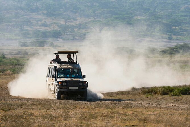 6-Day Honeymoon Safari Tour Package in Tanzania - Why this route works for a honeymoon