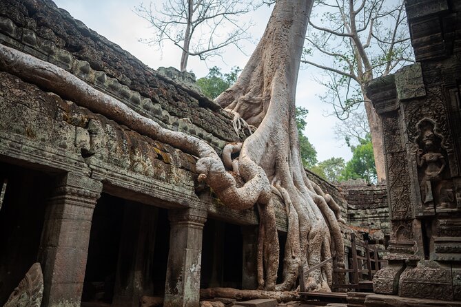 6-hour Angkor Sunrise & Private Tour (Solo, Couple & Family ) - The smaller temple stops: Ta Nie and Preah Palilay