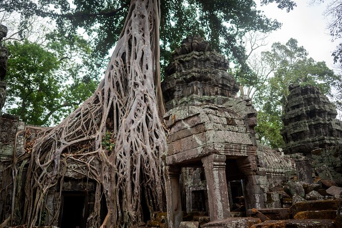 6-hour Angkor Sunrise & Private Tour (Solo, Couple & Family ) - Tuk-tuk or air-conditioned car?