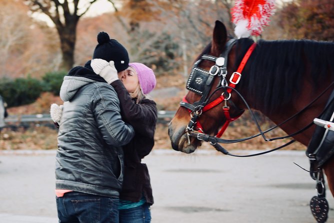 60 min surprise proposal carriage ride - Roses and a small photo session