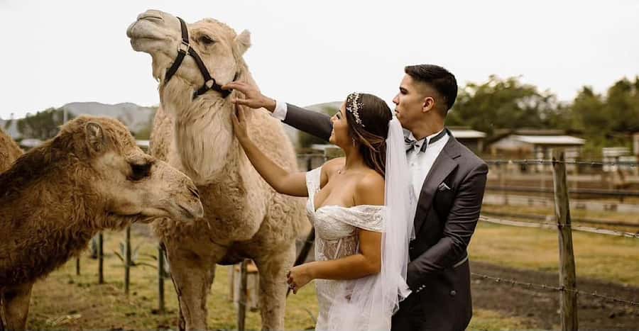 Agafay Desert Moroccan Luxury Wedding Ritual-Full Experience - Dinner, local music, and a night beneath the stars