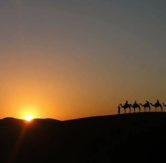 Agafay Desert Sunset Dinner & Berber Campfire (Vegan option) - Key points to know before booking