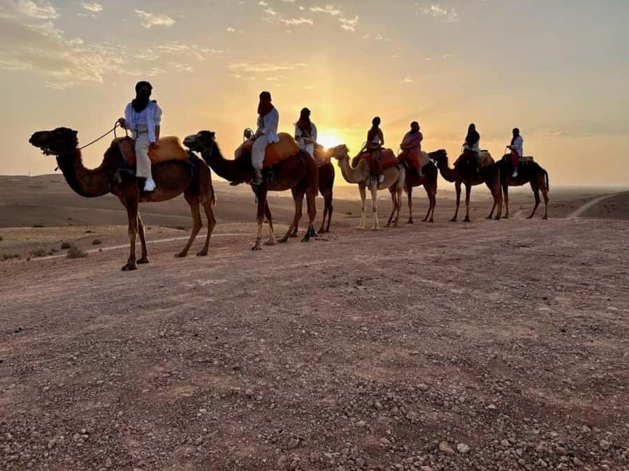Agafay tour Quade Bike, Sunset and Romantic Dinner Show - A short Berber cooperative stop
