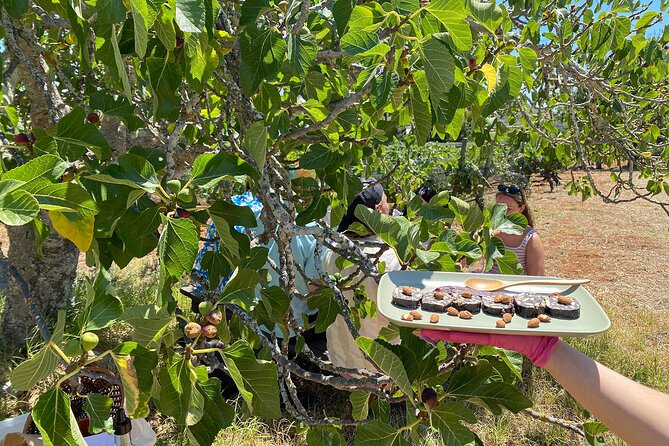 Algarve Romantic Vineyard Picnic in Carvoeiro - Who will enjoy this most
