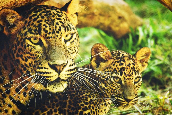 All in one Sri lanka 7nights 8 days for couple price - What the $720 price really covers