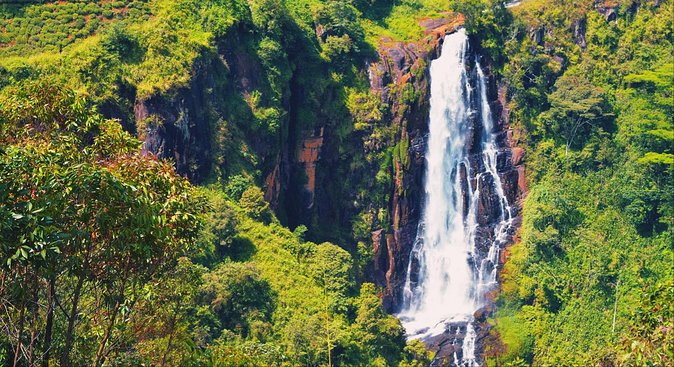 All in one Sri lanka 7nights 8 days for couple price - A guide can make the route feel personal