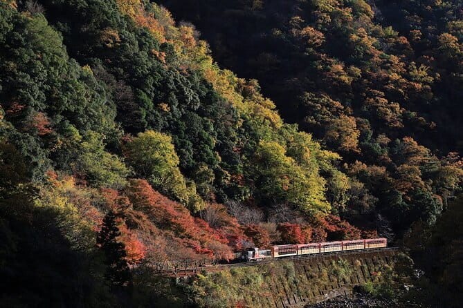 Arashiyama Walking Tour with Optional Sagano Romantic Train Ride - Key points to know before booking