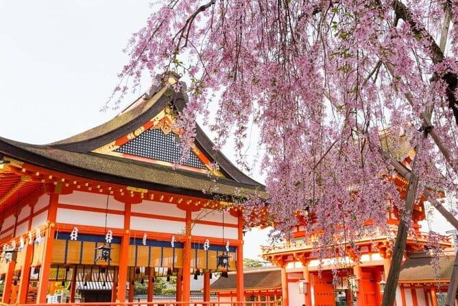 Arashiyama Walking Tour with Optional Sagano Romantic Train Ride - Walking through the Arashiyama Bamboo Forest