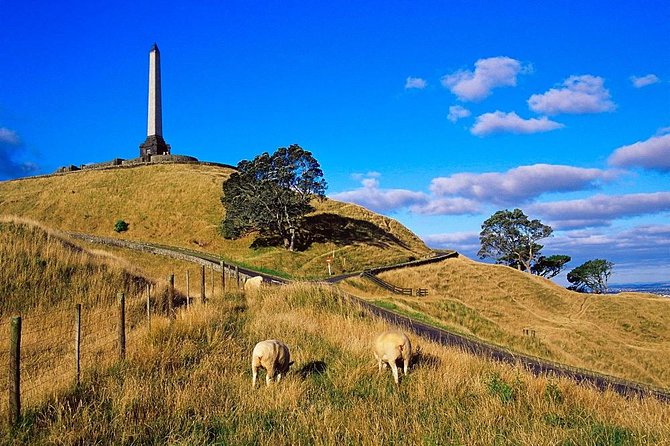 Auckland City Private Tour for Couples. Be chauffeur driven with added extras. - Why a private car makes sense in Auckland