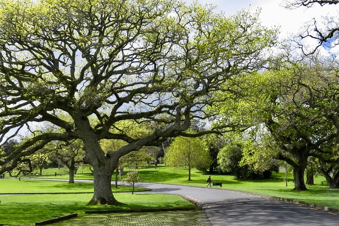 Auckland City Private Tour for Couples. Be chauffeur driven with added extras. - Bastion Point brings harbour views and Māori context