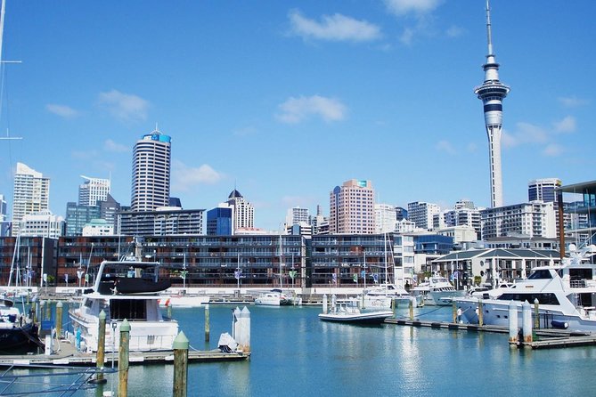 Auckland City Private Tour for Couples. Be chauffeur driven with added extras. - Mission Bay adds a beach and café break