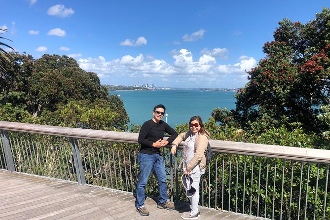 Auckland City Private Tour for Couples. Be chauffeur driven with added extras. - Westhaven and the Harbour Bridge