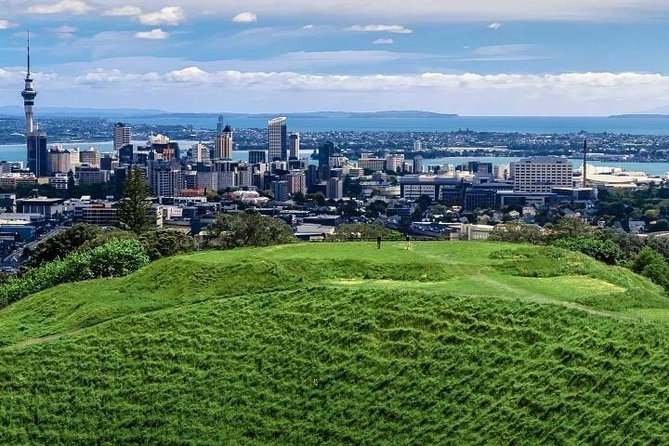 Auckland City Private Tour for Couples. Be chauffeur driven with added extras. - Little Shoal Bay has one of the best city views