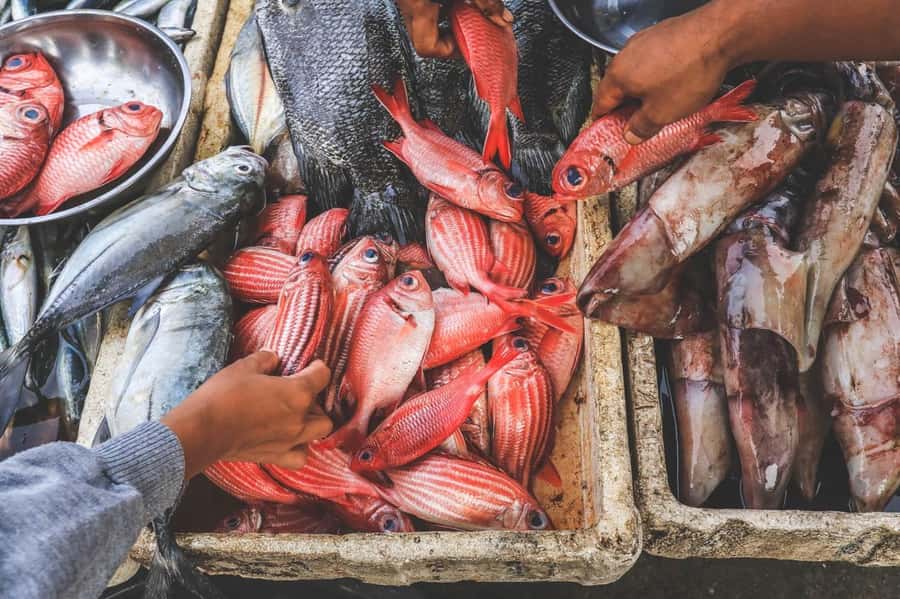 Bali: Jimbaran Seafood Market Tour with Sunset Dinner - Why Jimbaran Market makes this more than a dinner