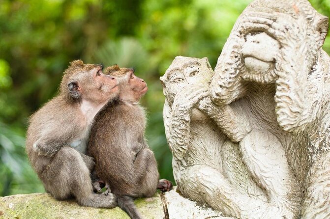 Bali Private Couple Tour – Custom Itinerary - Key points to know before booking