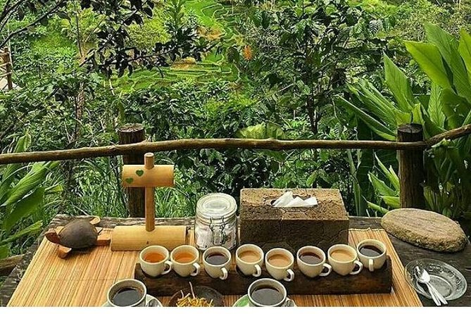 Bali romantic floating breakfast - jungle swing - monkey forest - Ubud art shop. - Walking through Sacred Monkey Forest Sanctuary