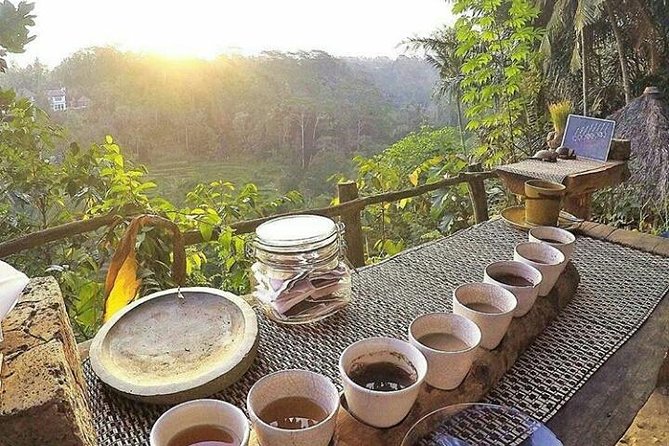 Bali romantic floating breakfast - jungle swing - monkey forest - Ubud art shop. - What the $30 price really covers