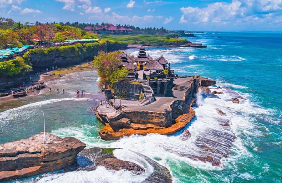 Bali : Tanah Lot Temple Tour with Sunset Dinner - Alas Kedaton’s tame monkeys and forest grounds