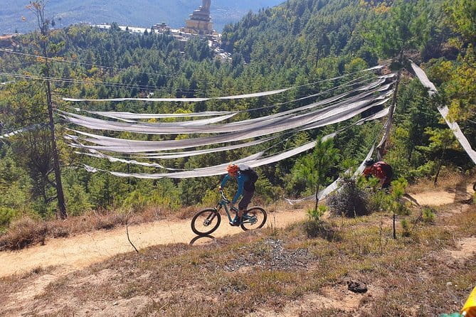 Bhutan Honeymoon Tour - Day 5: Gangtey’s short forest walk and local beer