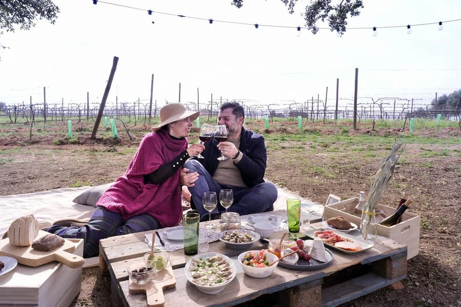 Carvoeiro, Portimão, Lagos: Algarve Romantic Vineyard Picnic - Who will enjoy this vineyard picnic most