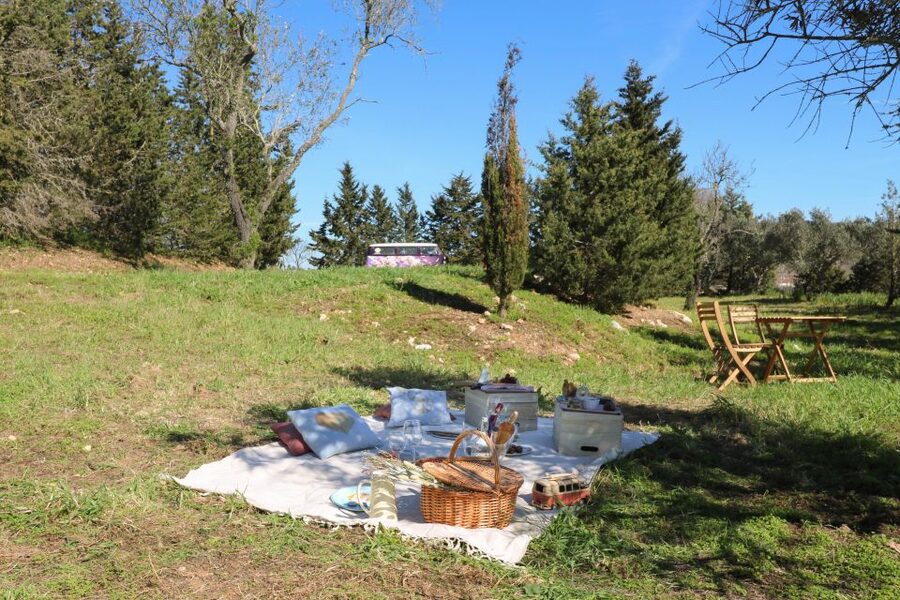 Carvoeiro, Portimão, Lagos: Algarve Romantic Vineyard Picnic - A personal touch from Paulo