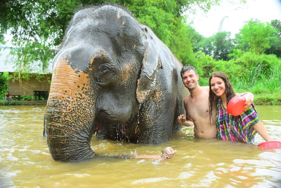 Chiang Mai: Private Elephant Care Experience for Couples - Walking toward the forest with the elephants