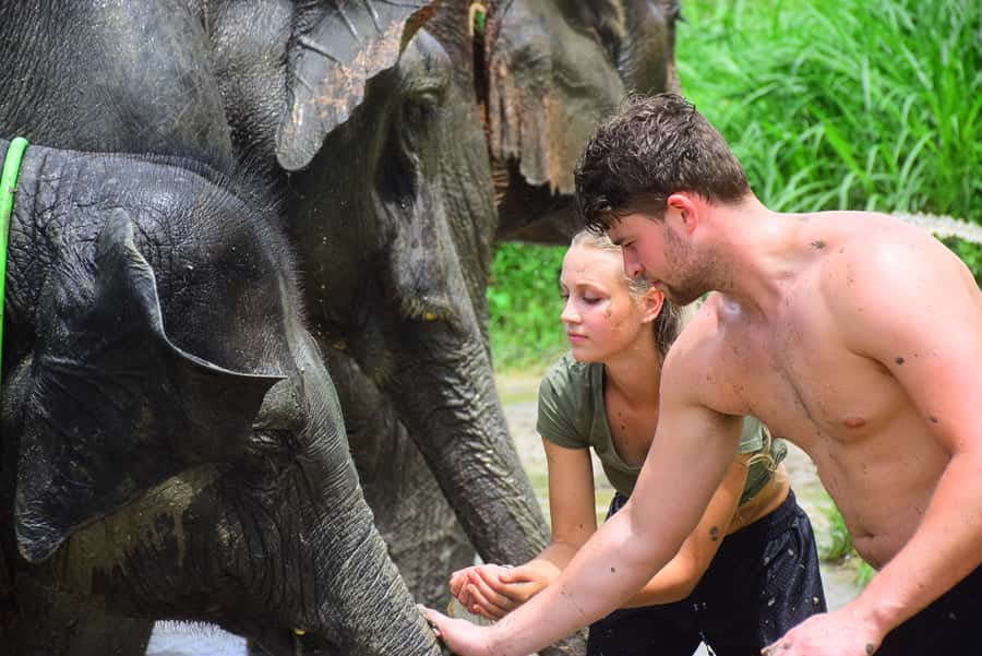 Chiang Mai: Private Elephant Care Experience for Couples - Preparing treats before meeting the elephants