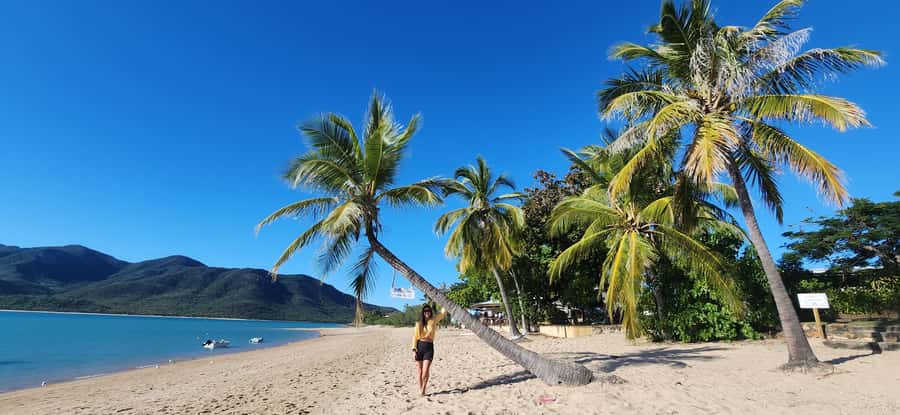 Coastal Beaches Adventures: Dingo Beach & Cape Gloucester - Dingo Beach: your first taste of the coast