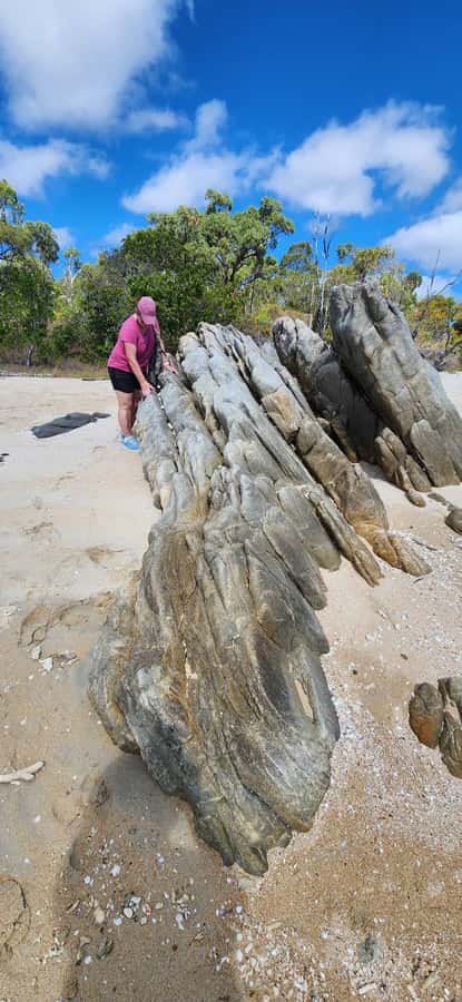 Coastal Beaches Adventures: Dingo Beach & Cape Gloucester - Who will enjoy this tour most?