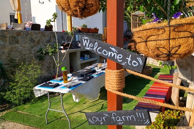 Cooking Class Sunset Dinner and Tour in Paros Farm - Gathering produce before the cooking begins