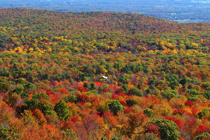 Couple's Private Hudson Valley Fall Foliage Helicopter Tour from Westchester - Choosing 30 minutes or 40 minutes