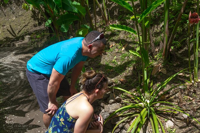 Couples Private St. Lucia Highlights Tour - Rum tasting before the drive-in volcano