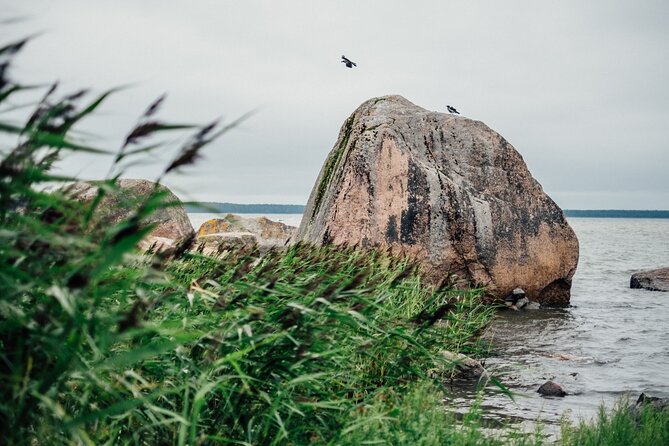 Day Trip to Land of Bays, the Romantic North-Coast from Tallinn - The unnamed summer resort and Estonia’s seaside villages
