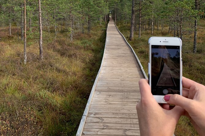 Day Trip to Land of Bays, the Romantic North-Coast from Tallinn - Walking the wooden path through Viru Bog