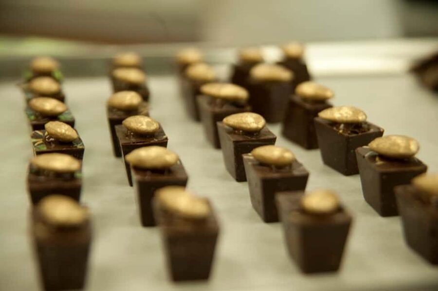 Dominican Republic: 3-Hour Chocolate Lovers Tour - Key points about the Dominican cacao experience