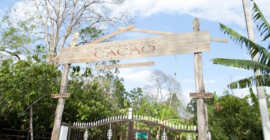 Dominican Republic: 3-Hour Chocolate Lovers Tour - Dominican culture through cacao