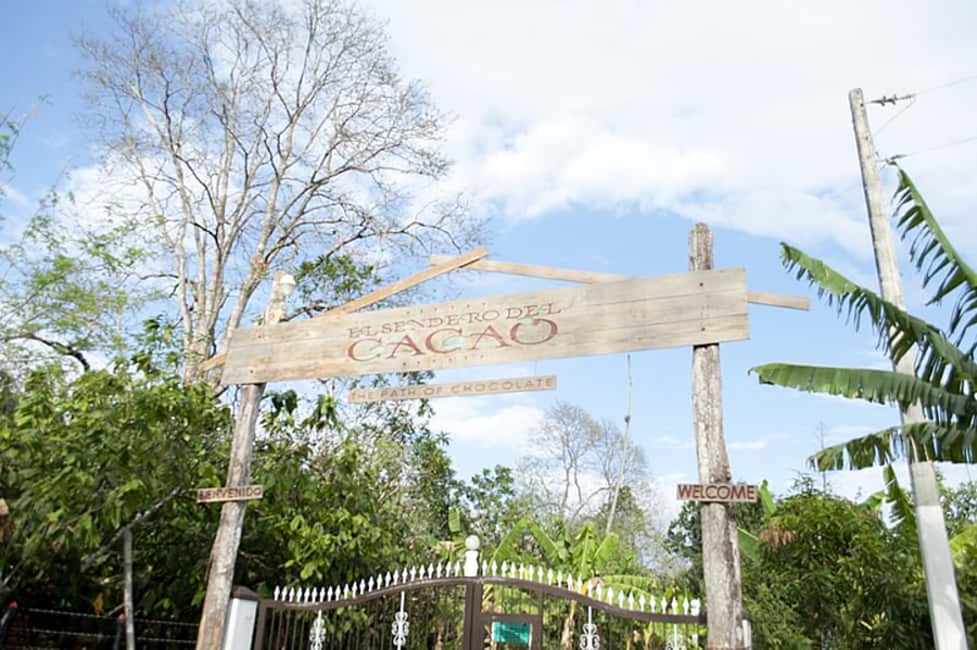 Dominican Republic: 3-Hour Chocolate Lovers Tour - Planting a cacao tree from the beginning