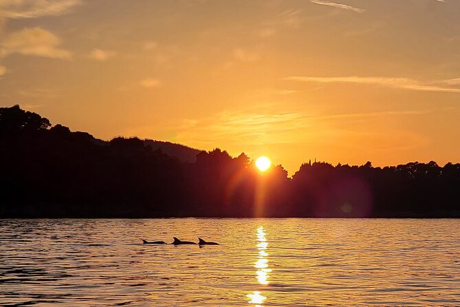 Dubrovnik Romantic Sunset Boat Tour - A quiet departure from Lapad Bay