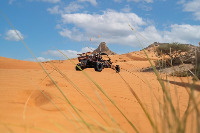 Dune Buggy & Private Dinner in the Dunes in Mleiha National Park - What the buggy route feels like