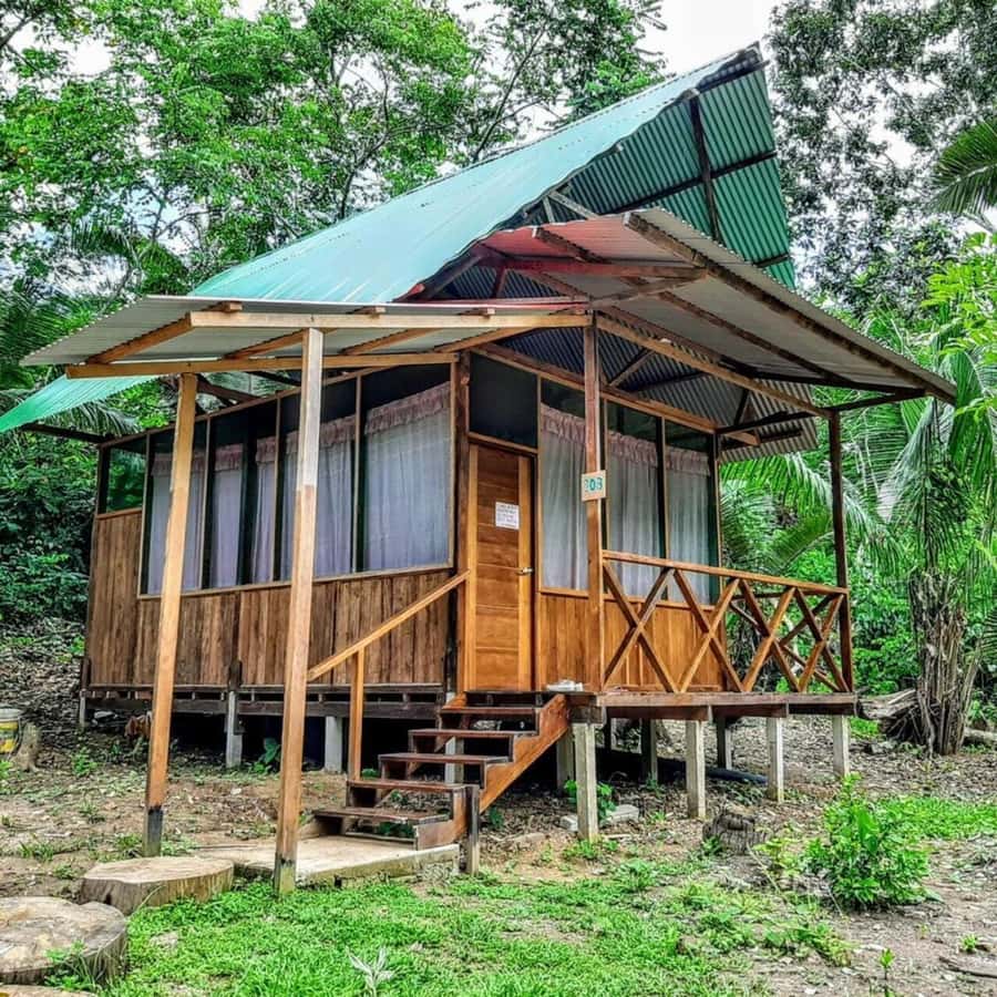 From Cusco: Amazon jungle for two days with sleeper bus and private lodge - What the small group size means