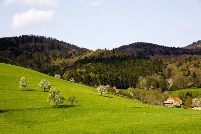 from Frankfurt - romantic Black Forest & brewery, private tour - Key Points Before You Book