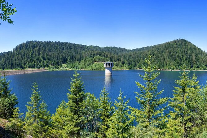 from Frankfurt - romantic Black Forest & brewery, private tour - Allerheiligen: Ruins, Forest, and Water