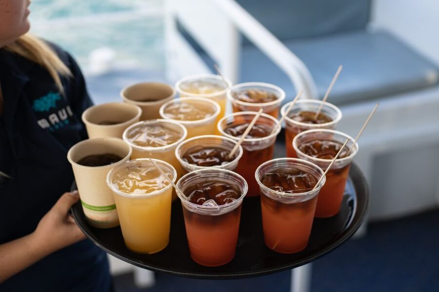 From Ma'alaea: Sunset Dinner Cruise Aboard the Quicksilver - Service and the group atmosphere