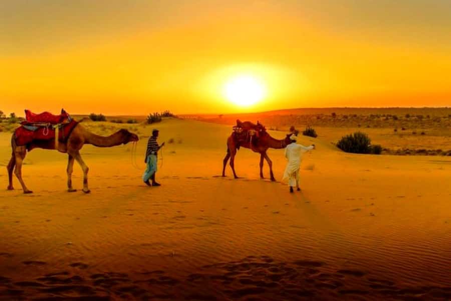 From Marrakech : Agafay Desert Sunset Dinner with Camel Ride - Dinner under the open night sky